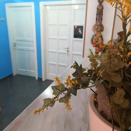 Vacanze Azzurra Apartment